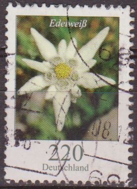 ALEMANIA 2005 Scott 2322 Sello Flora Flor Edelweiss 220 Usado  Michel 2547Allemagne Duitsland Germania Germany Alemagne Deutschland 